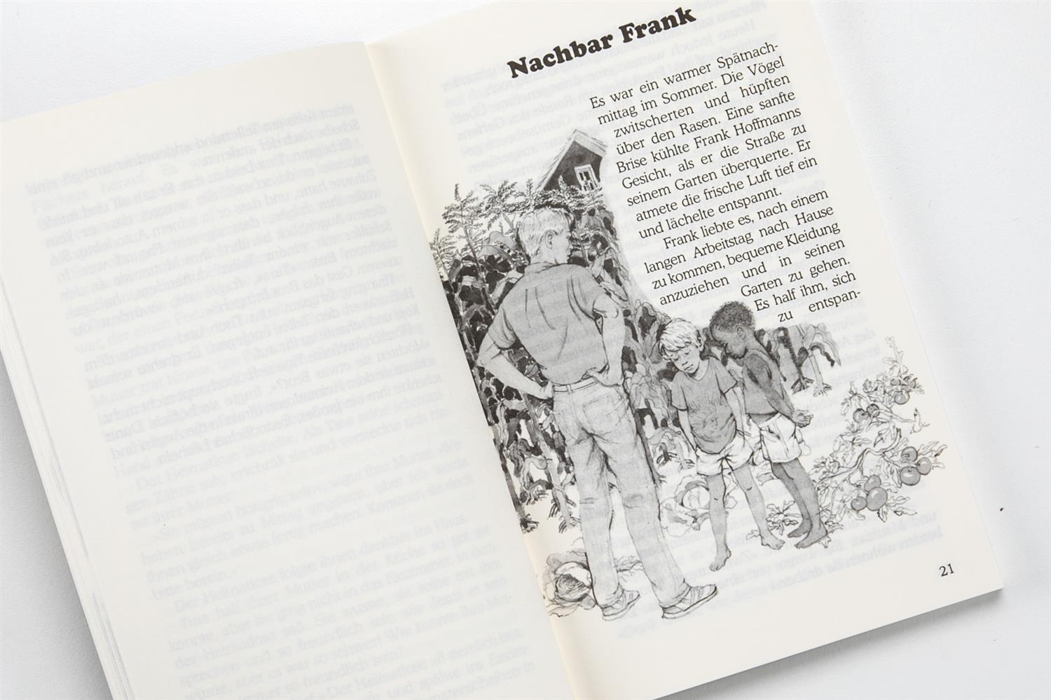 In Jesu Namen, Meyer - Buch