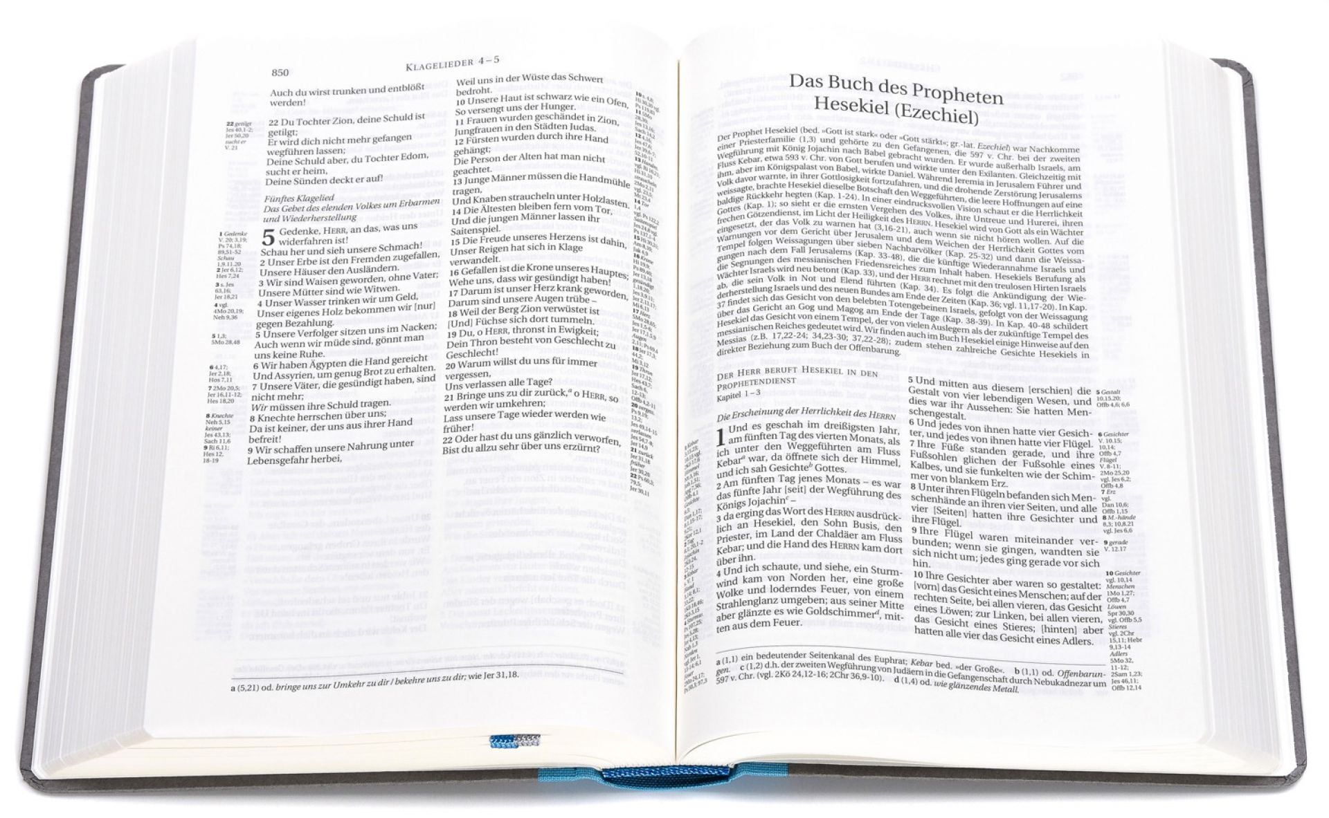 Schlachter 2000 TA + P PU-Einband hellblau/grau