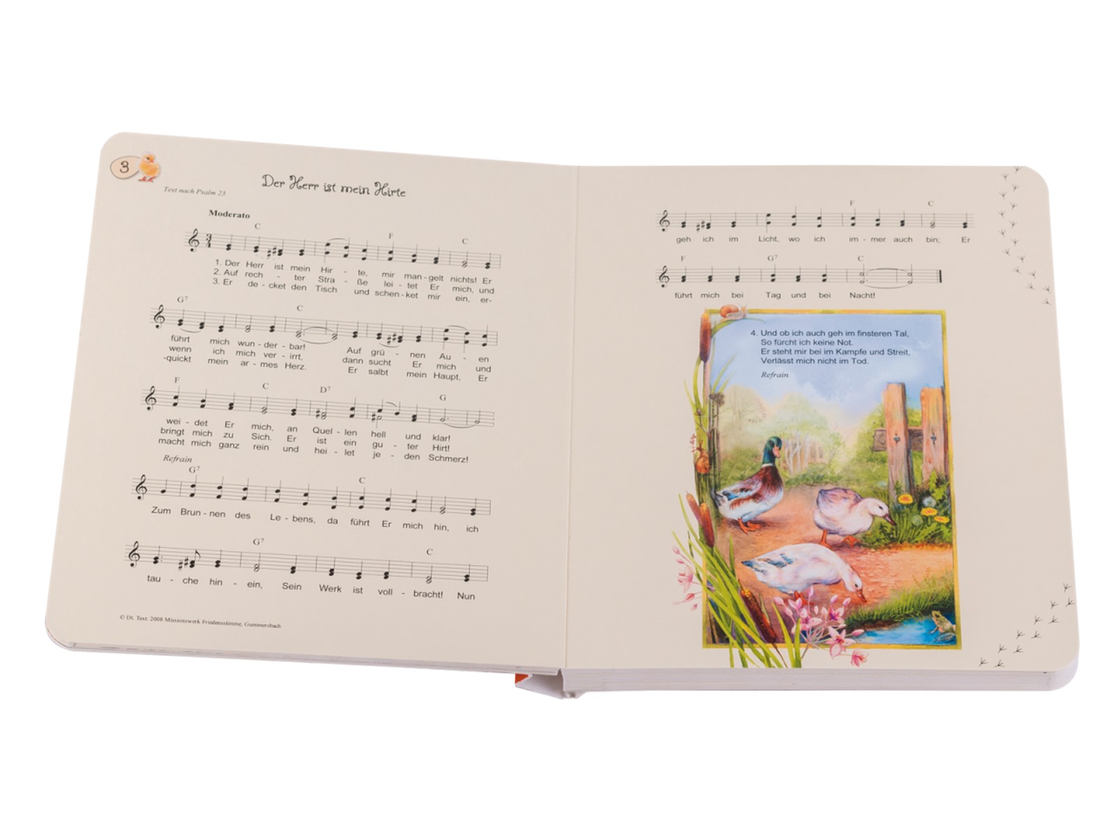Pappbuch - Behütet