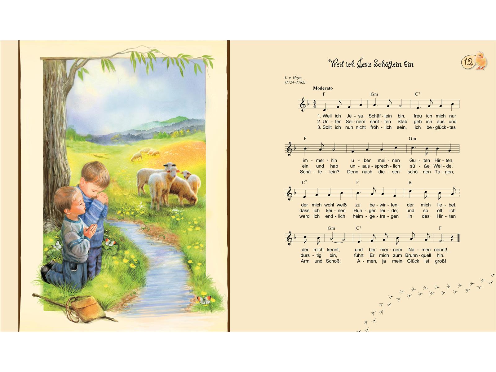 Pappbuch: Behütet