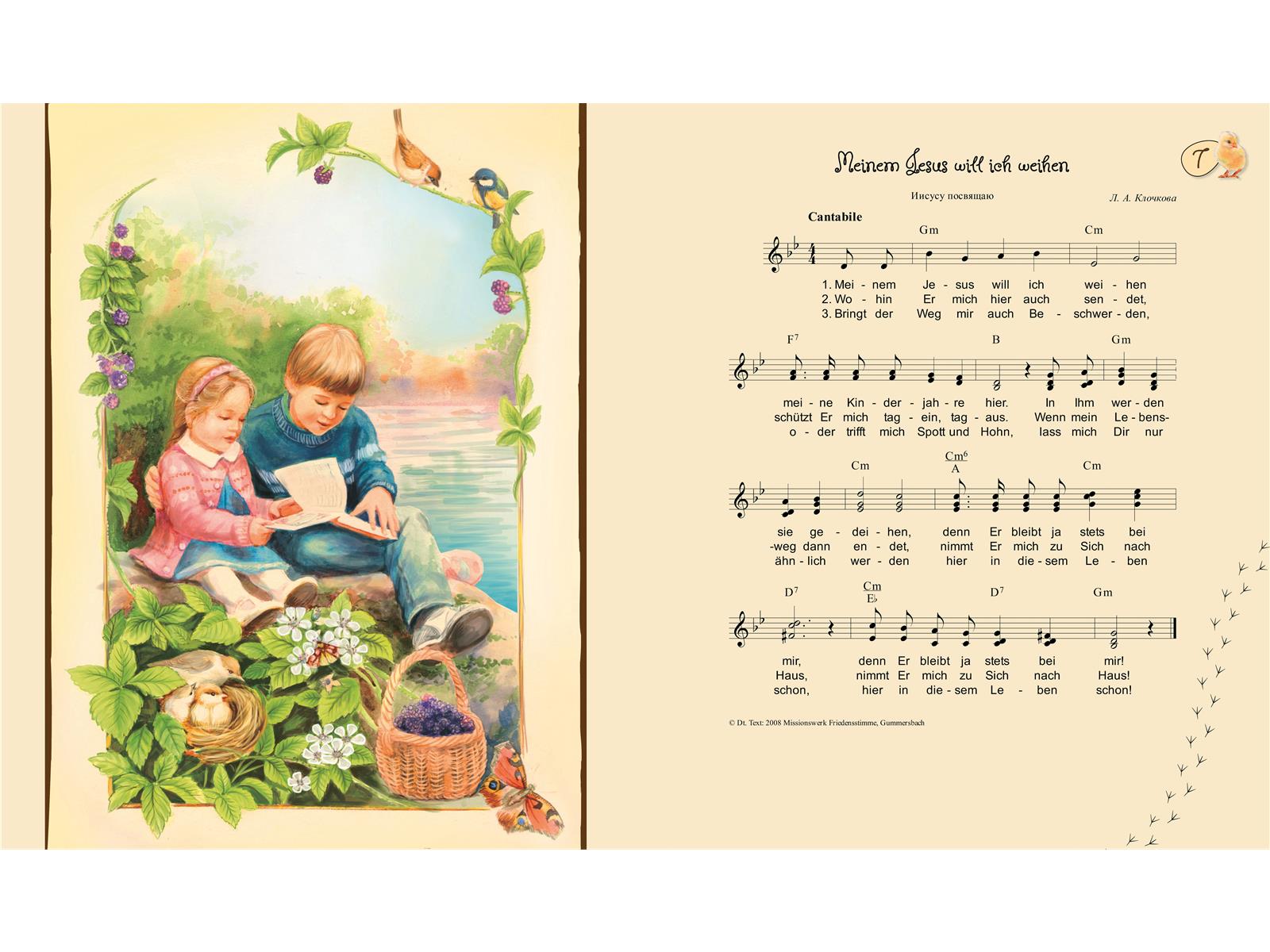 Pappbuch: Behütet