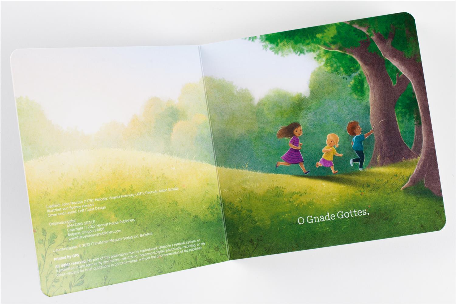 O Gnade Gottes, wunderbar (Pappebuch)