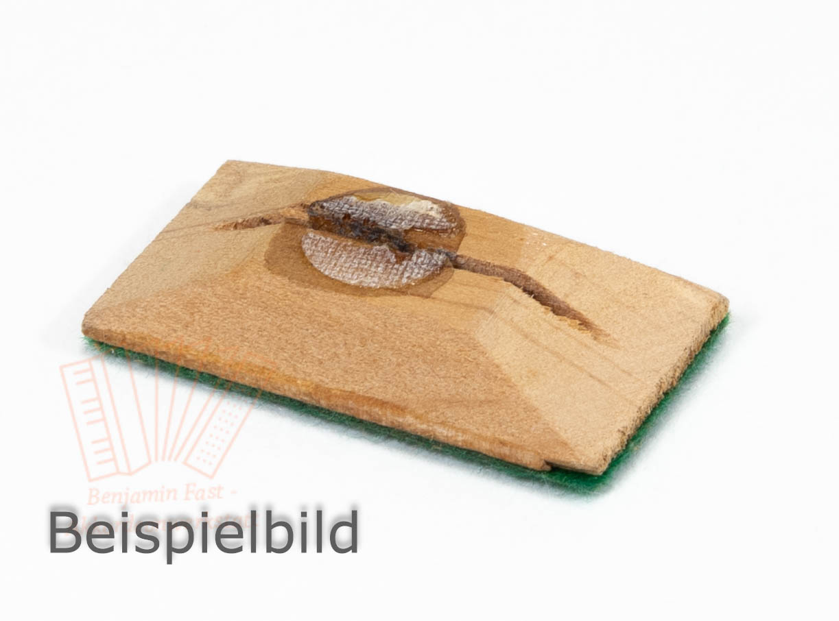 Bassklappe Holz 36x19mm gebraucht