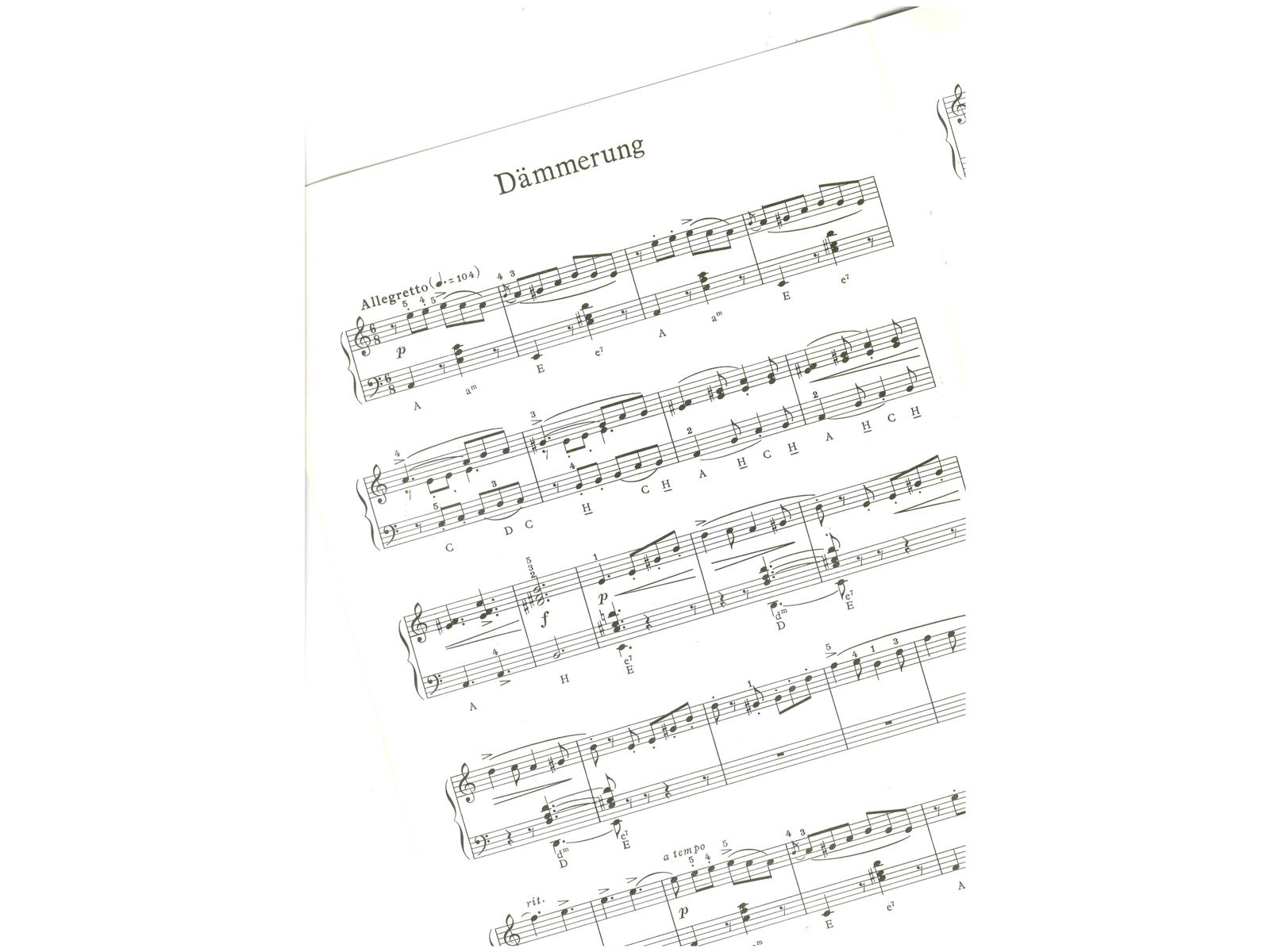 Der Weg zum Akkordeonmeister 8 - Antiquariat