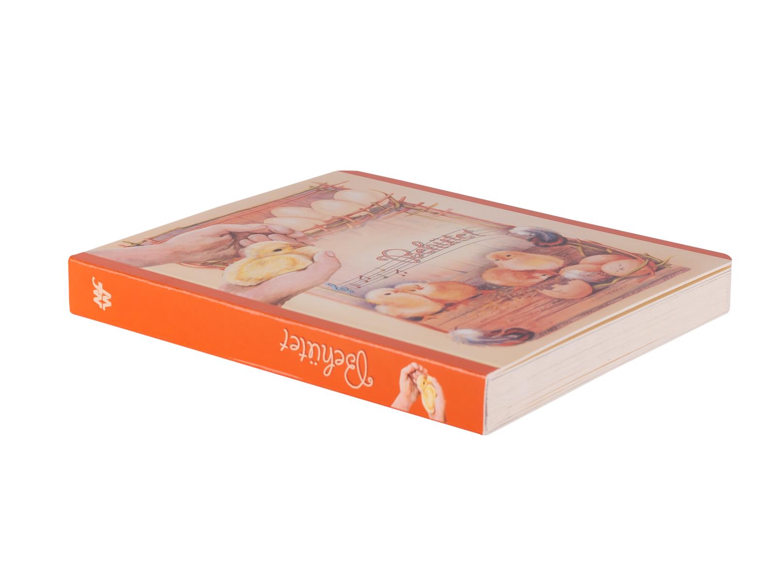 Pappbuch: Behütet