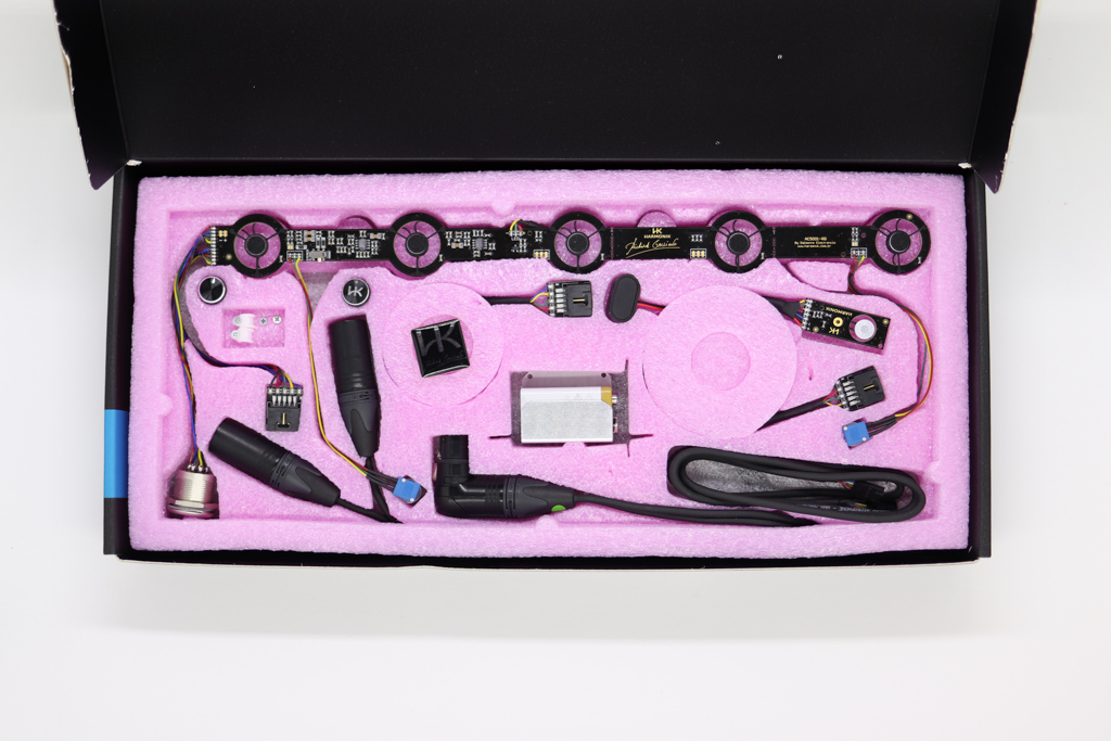 Einbaumikrofon Harmonik AC5001-RG Signature (4 Miks - 29cm) - Richard Galliano